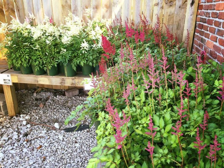 MULCH & GARDEN CENTER C&H Lawn & Landscaping, Inc