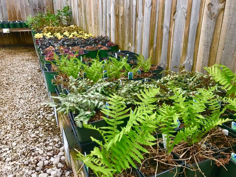 MULCH & GARDEN CENTER C&H Lawn & Landscaping, Inc