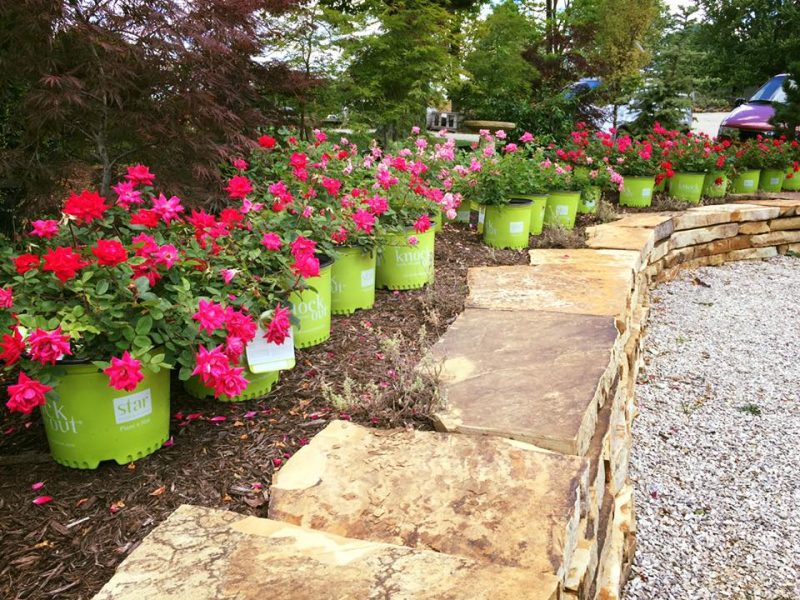 MULCH & GARDEN CENTER C&H Lawn & Landscaping, Inc